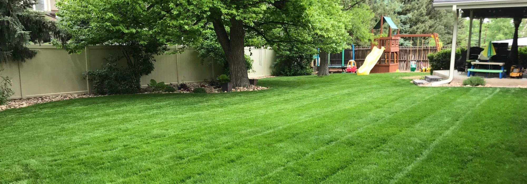 Chad Lakewood Co green lawn