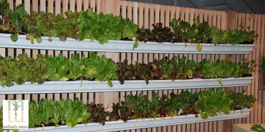 gutters used for a planter on a wall