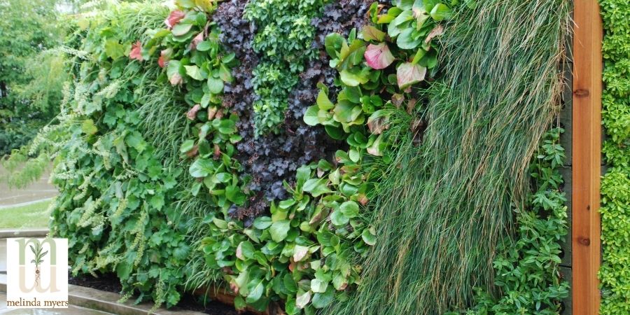 hanging garden wall