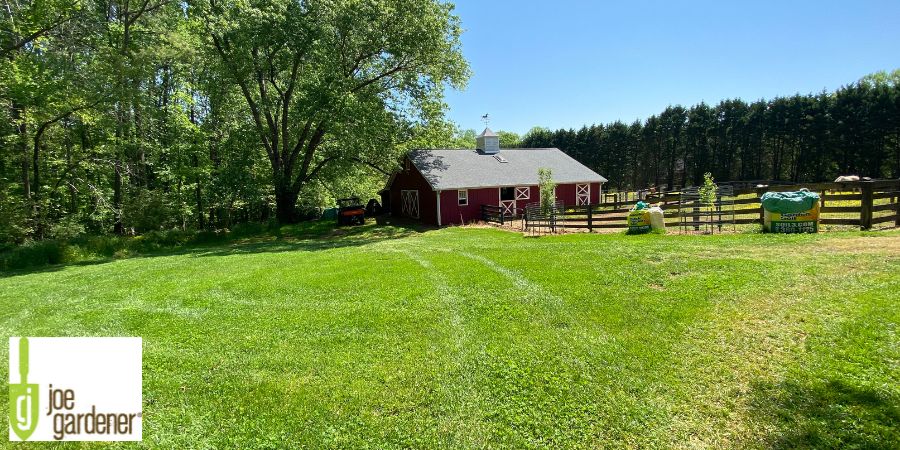 lush green lawn with trees near a barn