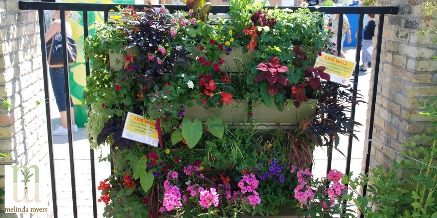 hanging garden plants on a fence